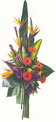 MODERN SYMPATHY TRIBUTE