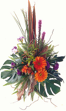 MODERN SYMPATHY TRIBUTE