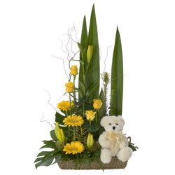 Teddy's Gift
