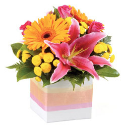 Bright Mini Box Arrangement