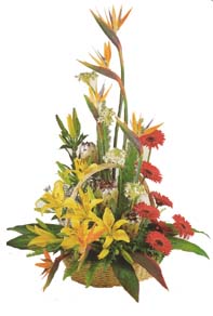 BASKET ARR. IN SPRING TONES