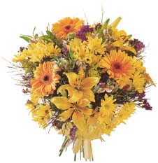Posy of Passion
