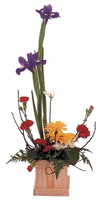 Modern Planter Box