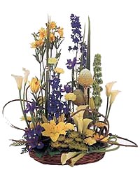 Forest of Flowers