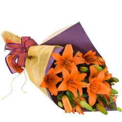 Asiatic Lily Wrap