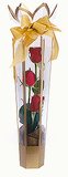 TUBULAR ROSES