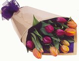 TULIPA (seasonal availabilty)