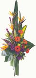 MODERN SYMPATHY TRIBUTE