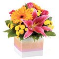 Bright Mini Box Arrangement