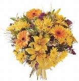 Posy of Passion