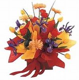 Carnival of Colour