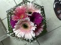 Gerbera Bouquet