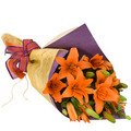 Asiatic Lily Wrap