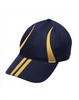 Navy-Gold