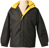 Navy-Gold