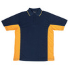 Navy-Gold