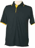Navy-Gold