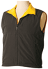 Navy-Gold