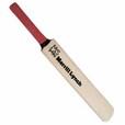 MINI CRICKET BALL