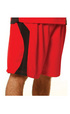 'Winning Spirit' Mens Slamdunk Basketball Shorts