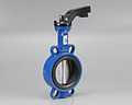 BUTTERFLY VALVES