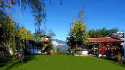 L'Ape Regina Agriturismo