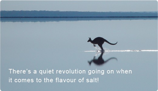 Lake Crystal Salt, Nigari, Grinders