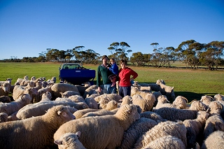 LambEx Program