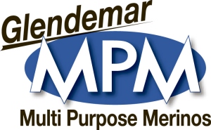 Glendemar MPM