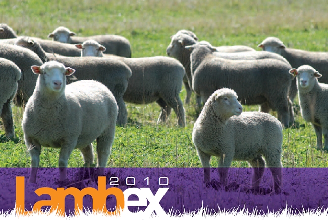 LambEx Exhibitions LambEx Exhibitions