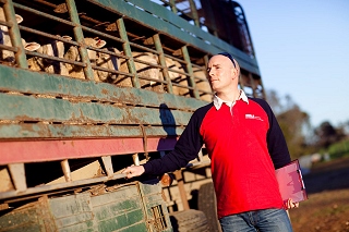 LambEx logistics