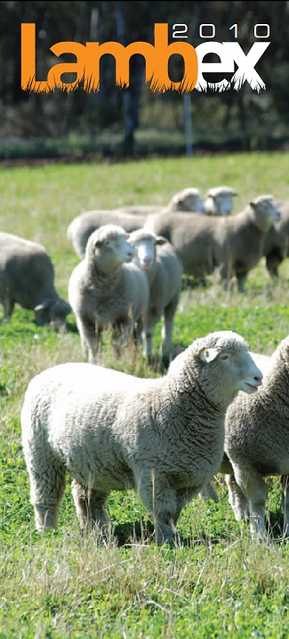 Lambex Welcome