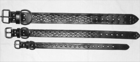 Dog collar