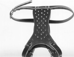 Dog harness