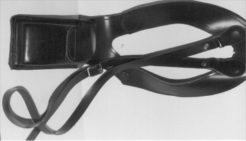 Shoulder harness phone case