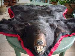 Bearskin