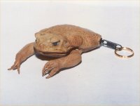 Coin purse
