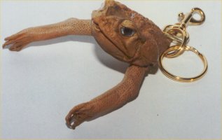 Key ring