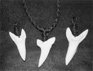 Mako shark teeth
