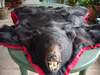 Bearskin