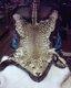 Leopard skin with head mount