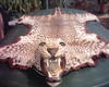 Leopard skin