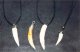 Crocodile teeth