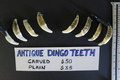 Dingo Tooth