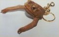 Cane toad products