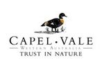 Capel Vale