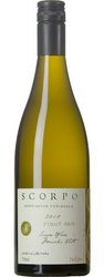 Scorpo Pinot Gris 2010