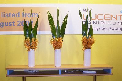 exhibition flowers perth