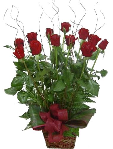 roses perth