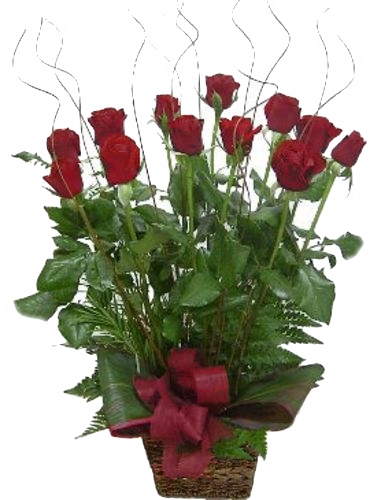 roses perth